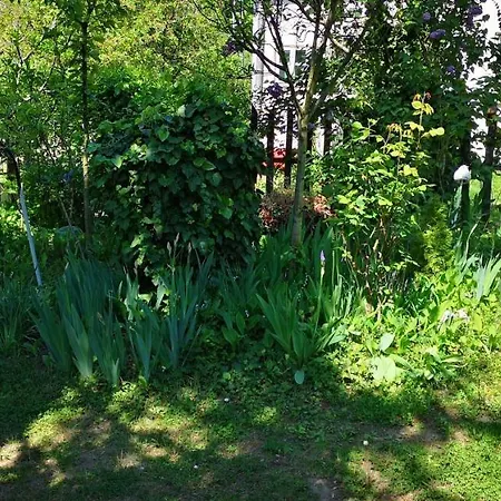 Apartman 1 Balatonrendes
