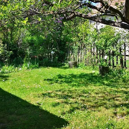 Apartament Apartman 1 *